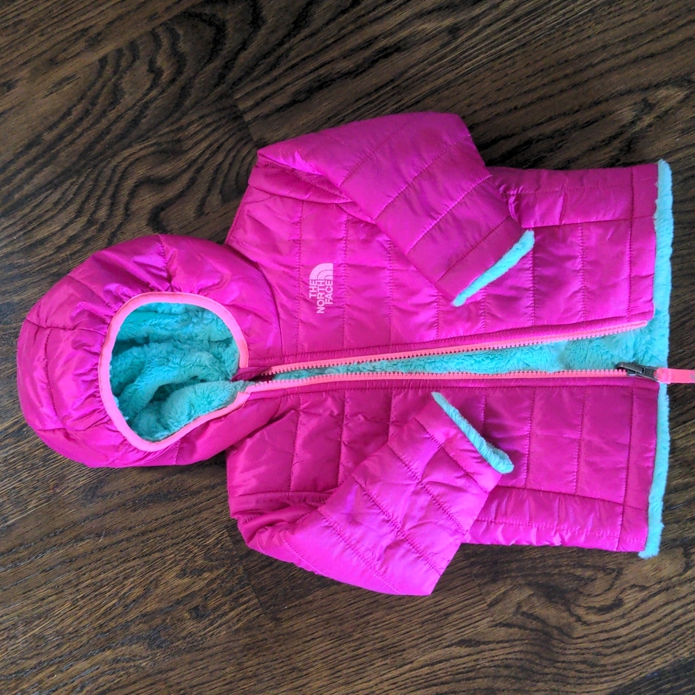 Infant Northface mossbud